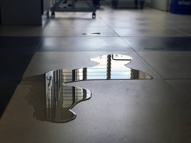 Best Water damage repair service  in Midland, PA