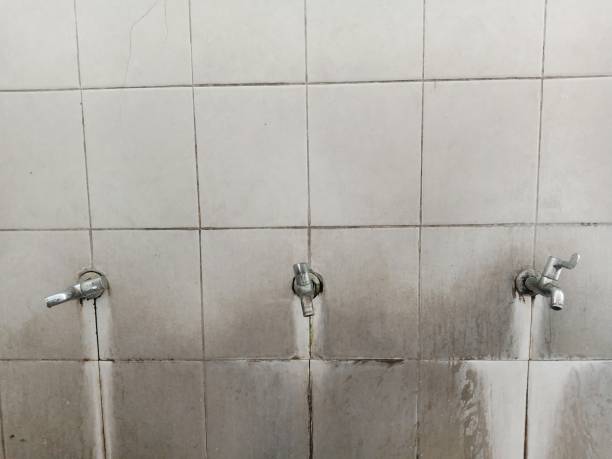 Best 24/7 water damage repair  in Midland, PA