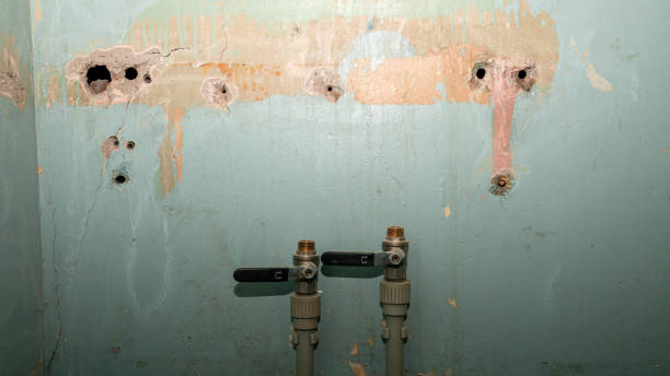 Best Water damage restoration near me  in Midland, PA